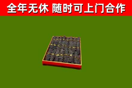 泉山回收海参